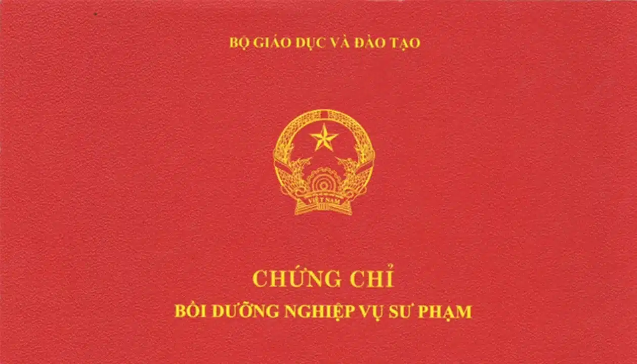 chứng chỉ nghiệp vụ sư phạm 2